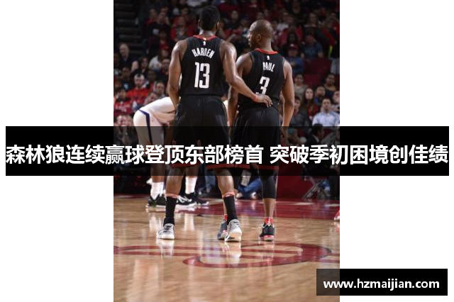 森林狼连续赢球登顶东部榜首 突破季初困境创佳绩