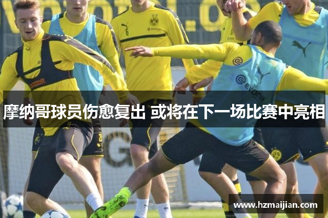 摩纳哥球员伤愈复出 或将在下一场比赛中亮相