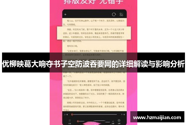 优柳映葛大响夺书子空防波吞要网的详细解读与影响分析
