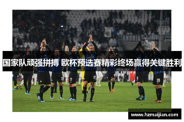 国家队顽强拼搏 欧杯预选赛精彩终场赢得关键胜利