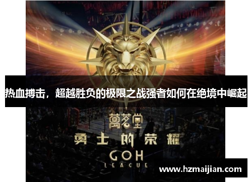 热血搏击，超越胜负的极限之战强者如何在绝境中崛起