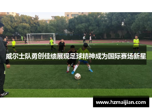 威尔士队勇创佳绩展现足球精神成为国际赛场新星