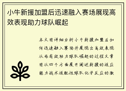 小牛新援加盟后迅速融入赛场展现高效表现助力球队崛起