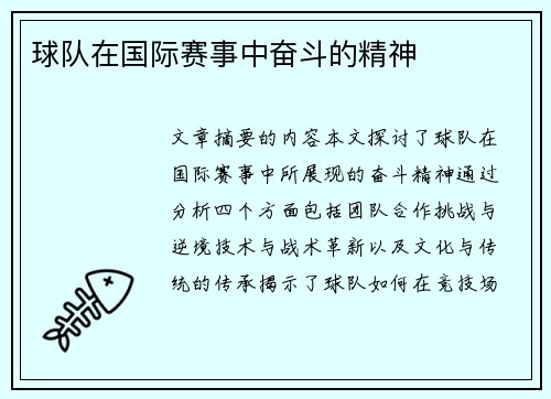 球队在国际赛事中奋斗的精神