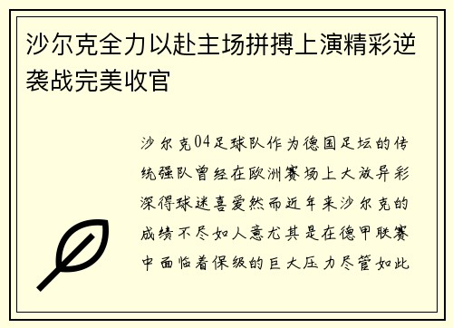 沙尔克全力以赴主场拼搏上演精彩逆袭战完美收官