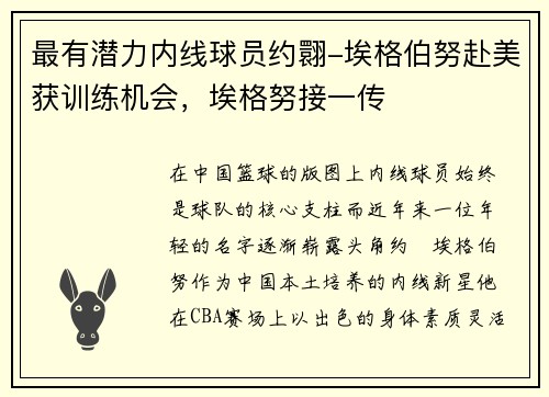 最有潜力内线球员约翾-埃格伯努赴美获训练机会，埃格努接一传