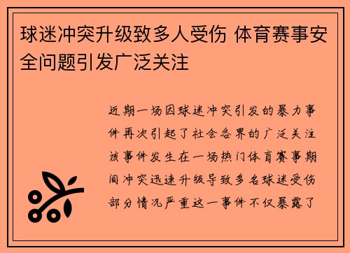 球迷冲突升级致多人受伤 体育赛事安全问题引发广泛关注