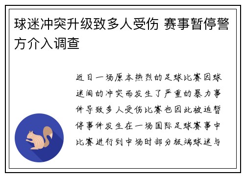 球迷冲突升级致多人受伤 赛事暂停警方介入调查