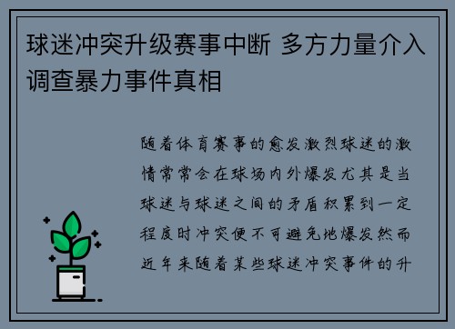 球迷冲突升级赛事中断 多方力量介入调查暴力事件真相